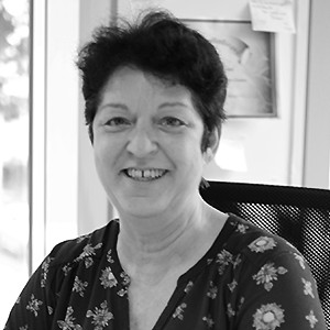 Rosa Vila